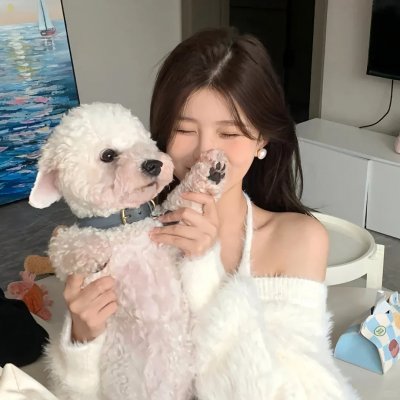 企鹅之岛:福克兰